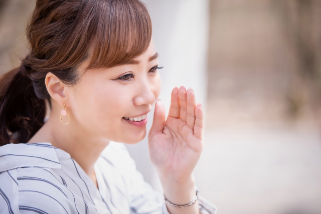 おすすめの馬の学校は？馬関連の仕事に繋がる各校の特徴の調べ方